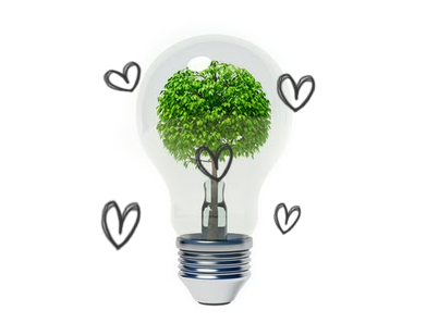 bombillas  led ecologicas y eficientes